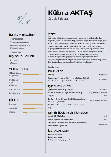 Çocuk Bakıcısı CV Örnekleri cv indir